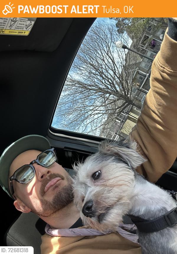 Found/Stray Male Dog last seen latimer st & martin luther king jr blvd, Tulsa, OK 74106