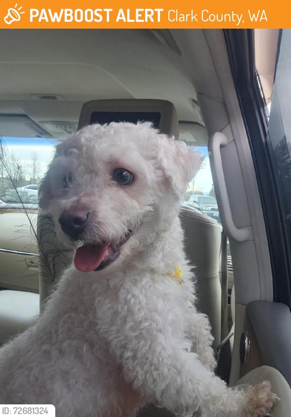 Found/Stray Male Dog last seen parking lot of business center on Minnehaha.  outside of jiu jitsu gym, Clark County, WA 98661
