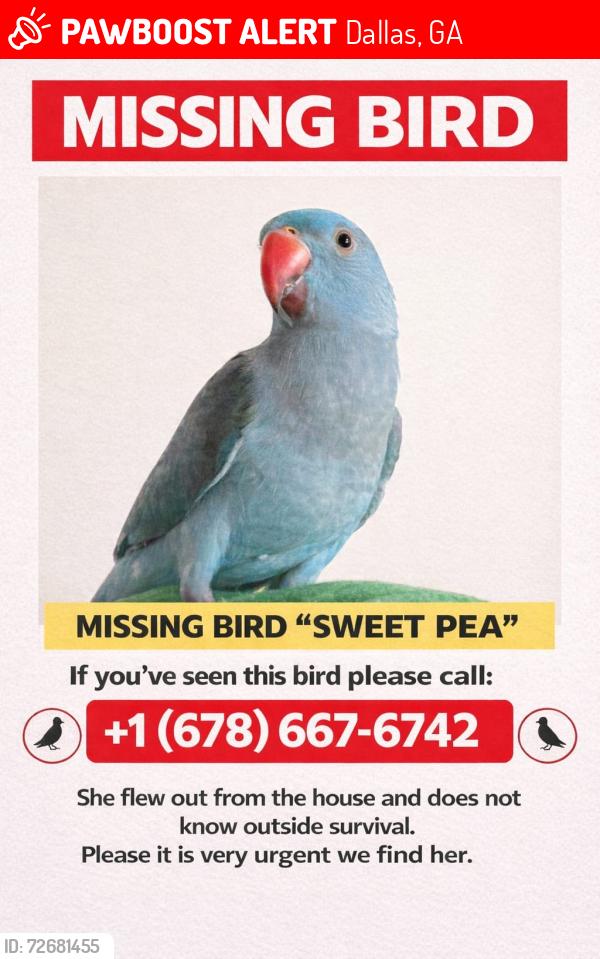 Lost Female Bird last seen Old Acworth road , Dallas, GA 30132