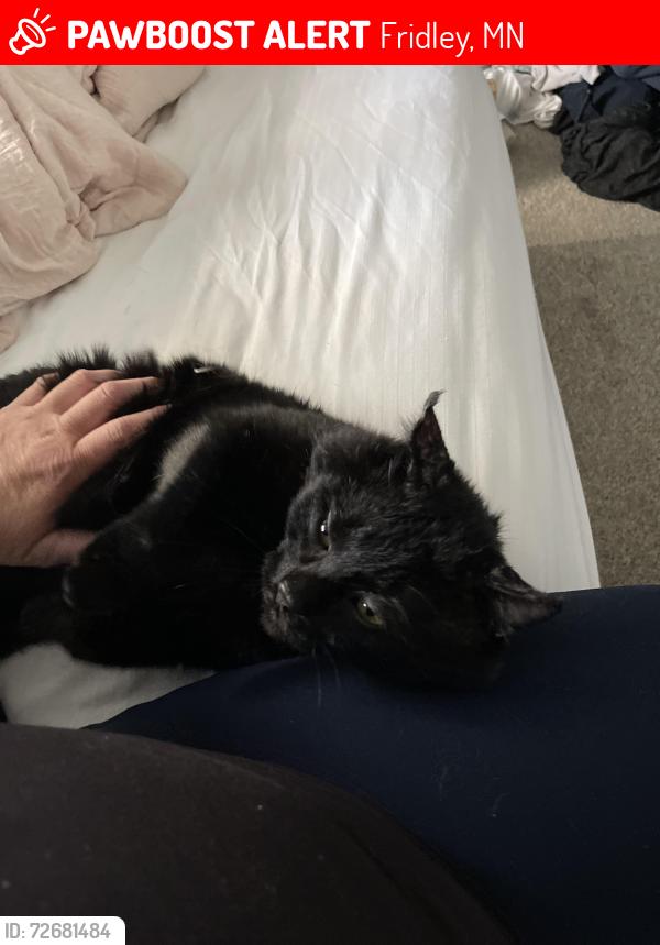 Lost Male Cat last seen Cum company , Fridley, MN 55432