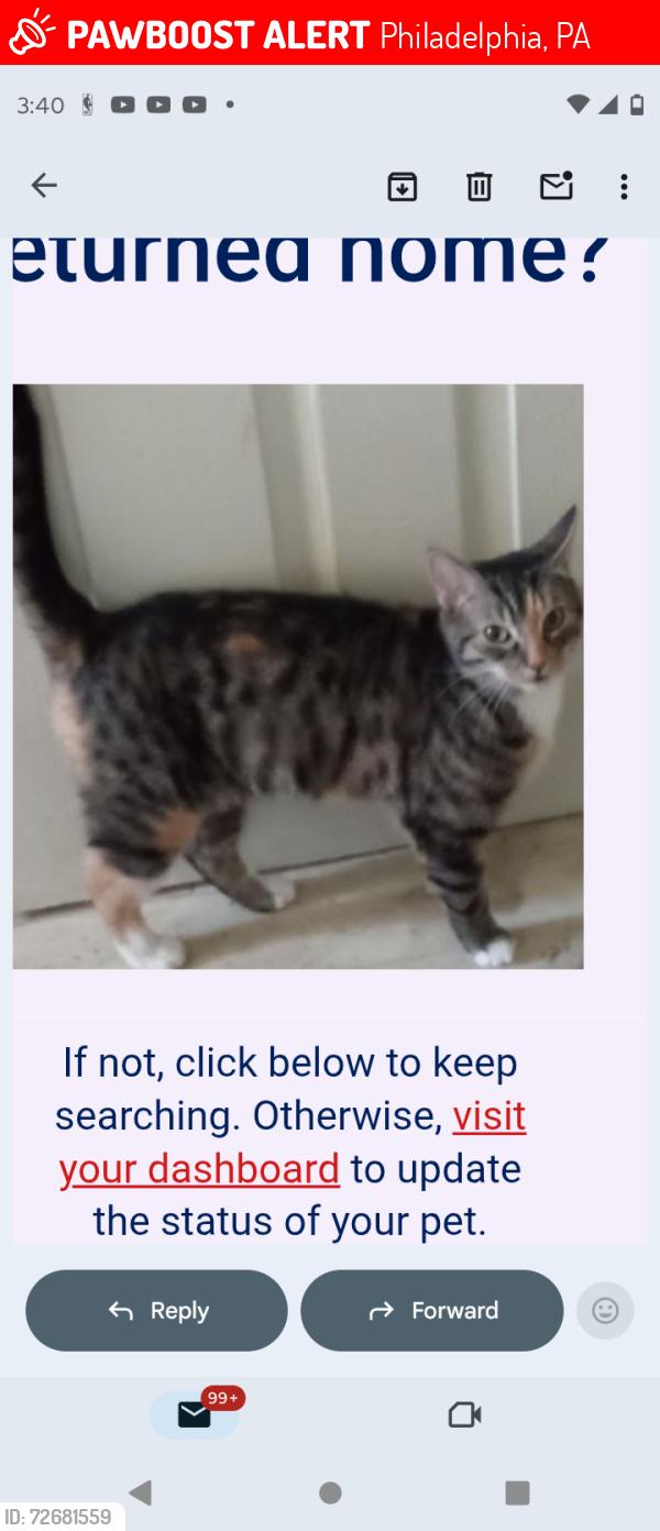 Lost Female Cat last seen Acct Philly , Philadelphia, PA 19140