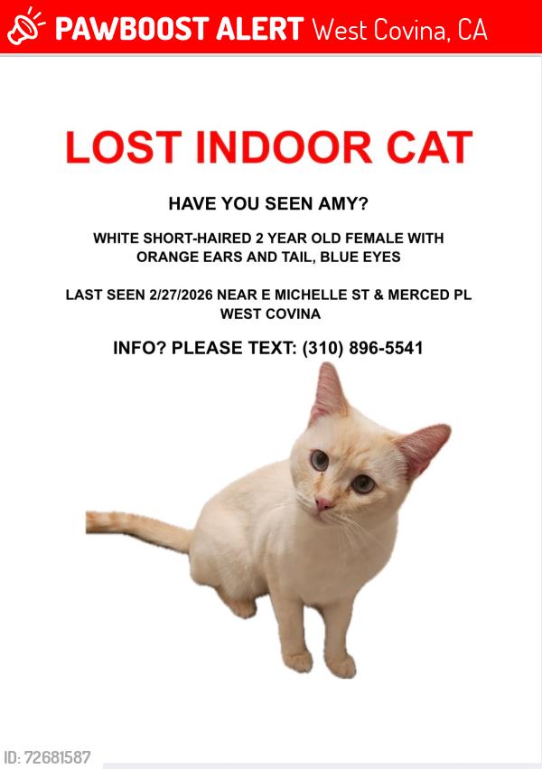 Lost Female Cat last seen Near E Mice St, West Covina, CA 91790
