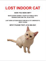 Lost Female Cat last seen Near E Mice St, West Covina, CA 91790