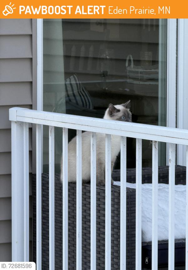Found/Stray Unknown Cat last seen Liatrus Lane & Charlson (near Flying Cloud Drive) Behind Flying Cloud Airport, Eden Prairie, MN 55347