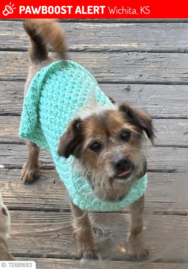 Lost Male Dog last seen Near South Wooddale st Wichita ks , Wichita, KS 67230