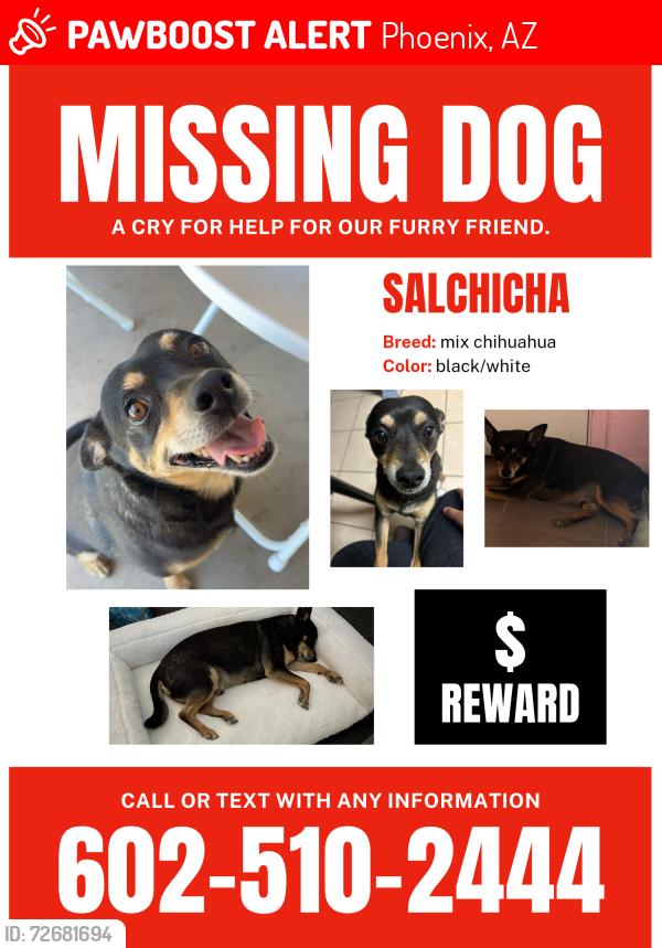 Lost Male Dog last seen Near d 35th drive Phoenix az 85p41, Phoenix, AZ 85041