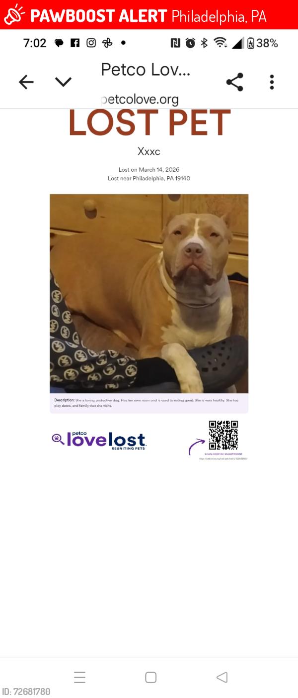 Lost Female Dog last seen Bristol , Philadelphia, PA 19140