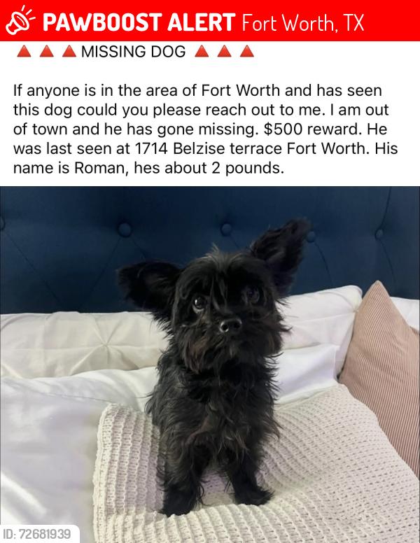 Lost Male Dog last seen Near Belzise terrace Fort Worth, Fort Worth, TX 76104