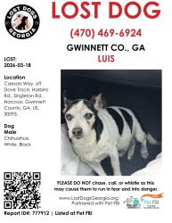 Lost Male Dog last seen Singleton rd , harbins rd , Norcross, GA 30093