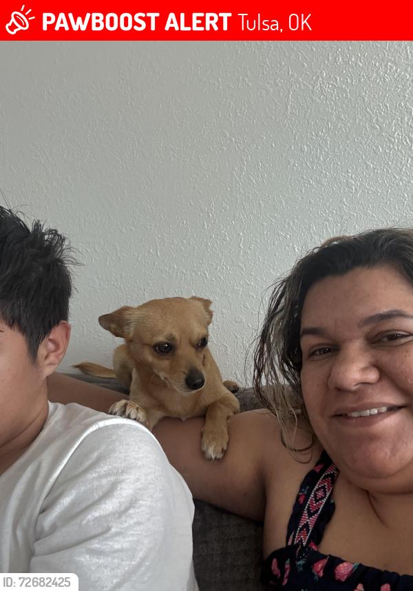 Lost Male Dog last seen Tulsa Oklahoma 27 st , Tulsa, OK 74129