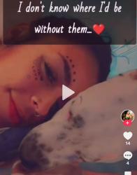 Lost Male Dog last seen Real rd, Bakersfield, CA 93309
