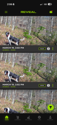 Found/Stray Male Dog last seen Near River Lake Dr, Roswell, GA 30075