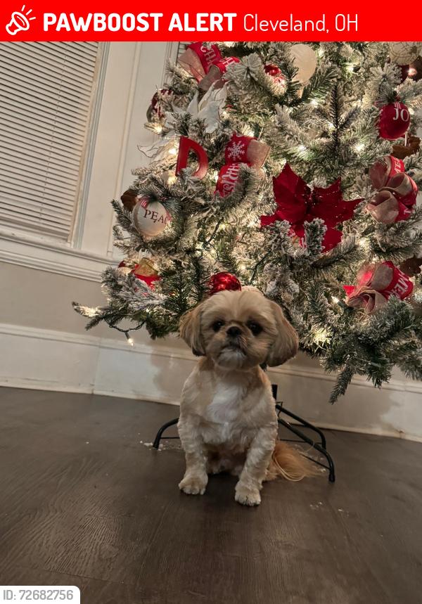 Lost Male Dog last seen Adams, Cleveland, OH 44108