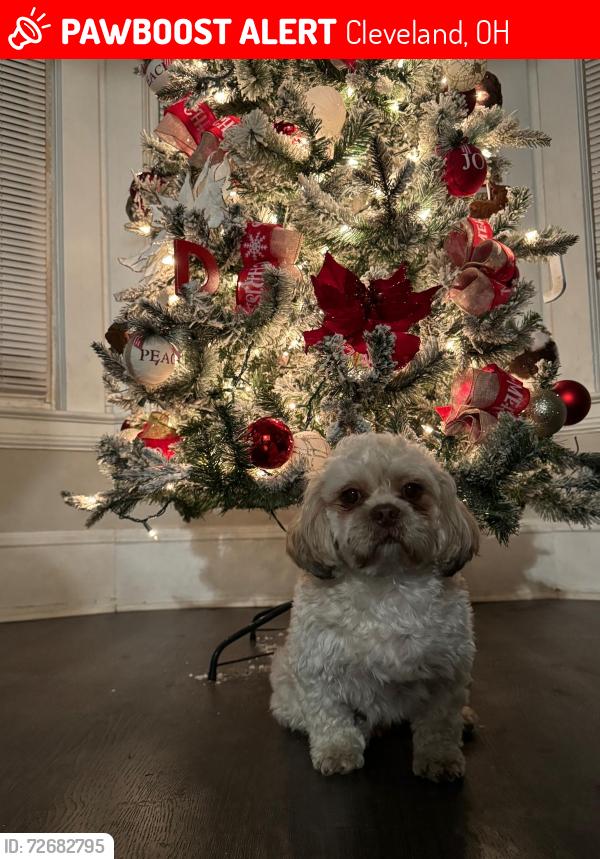 Lost Male Dog last seen Adams, Cleveland, OH 44108