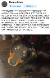 Lost Male Dog last seen W Southside Court Louisville KY 40214, Louisville, KY 40214