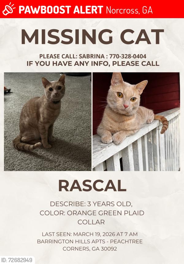 Lost Male Cat last seen Chelsea Park Lane , Norcross, GA 30092