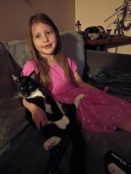 Lost Male Cat last seen Wallace, Salem, OR 97304
