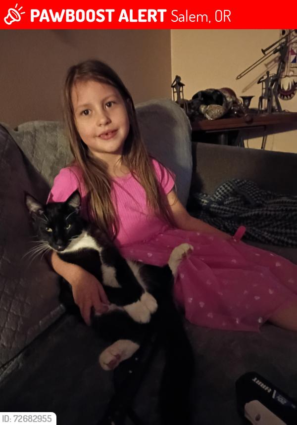 Lost Male Cat last seen Wallace, Salem, OR 97304
