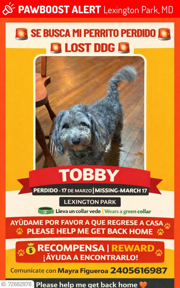 Lost Male Dog last seen Estados unidos, Lexington Park, MD 20653