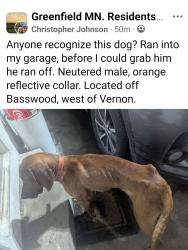 Found/Stray Unknown Dog last seen Basswood, West of Vernon, Greenfield, MN 55373