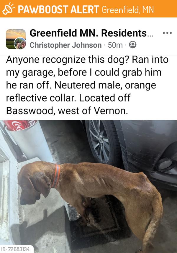 Found/Stray Unknown Dog last seen Basswood, West of Vernon, Greenfield, MN 55373