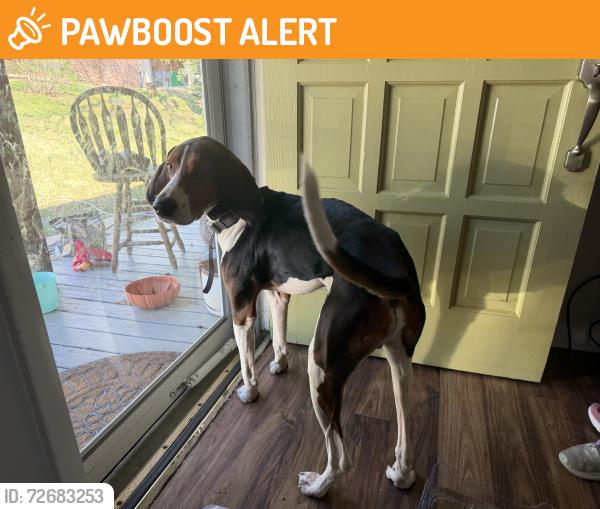 Found/Stray Male Dog last seen Kierre , North Little Rock, AR 72116