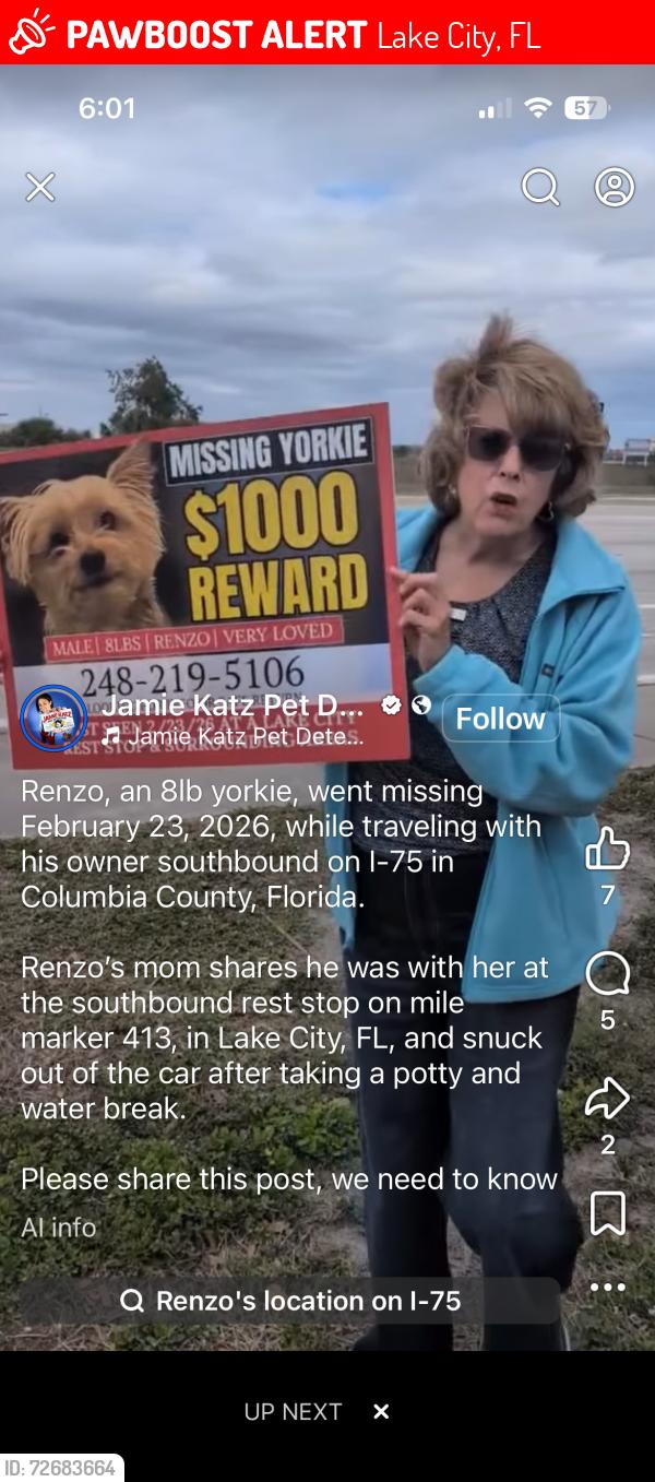 Lost Male Dog last seen Southbound I 75, Lake City, FL 32055