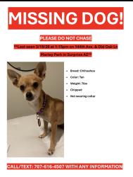 Lost Female Dog last seen 144th Ave and Old Oak Lane, Surprise, AZ 85379
