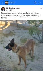 Found/Stray Unknown Dog last seen Arliss Drive and Eton drive, Grand Terrace, CA 92313