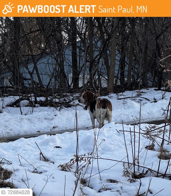 Found/Stray Unknown Dog last seen Humboldt and King Street , Saint Paul, MN 55107