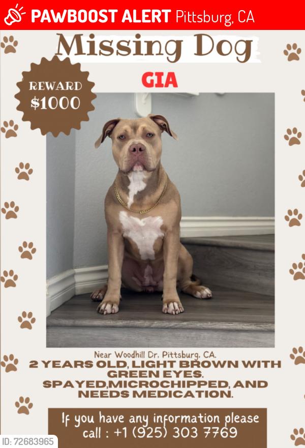 Lost Female Dog last seen Alves Ranch Rd. and Woodhill , Pittsburg, CA 94565