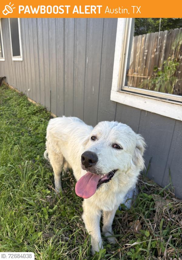 Found/Stray Male Dog last seen Near ASAP Vet , Austin, TX 78753