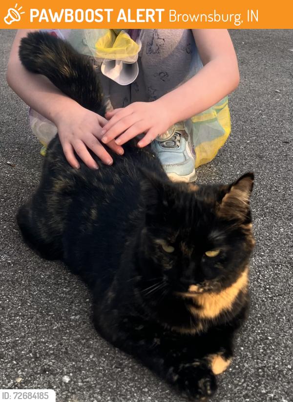 Found/Stray Unknown Cat last seen Mile 138.2-3 B&O Trail, Brownsburg, IN 46112