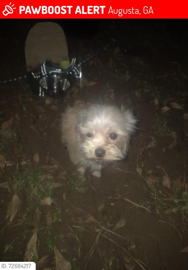Lost Female Other last seen Near Washington  road, Augusta, GA 30907