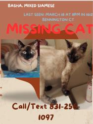 Lost Female Cat last seen Creekbridge, Salinas, CA 93906