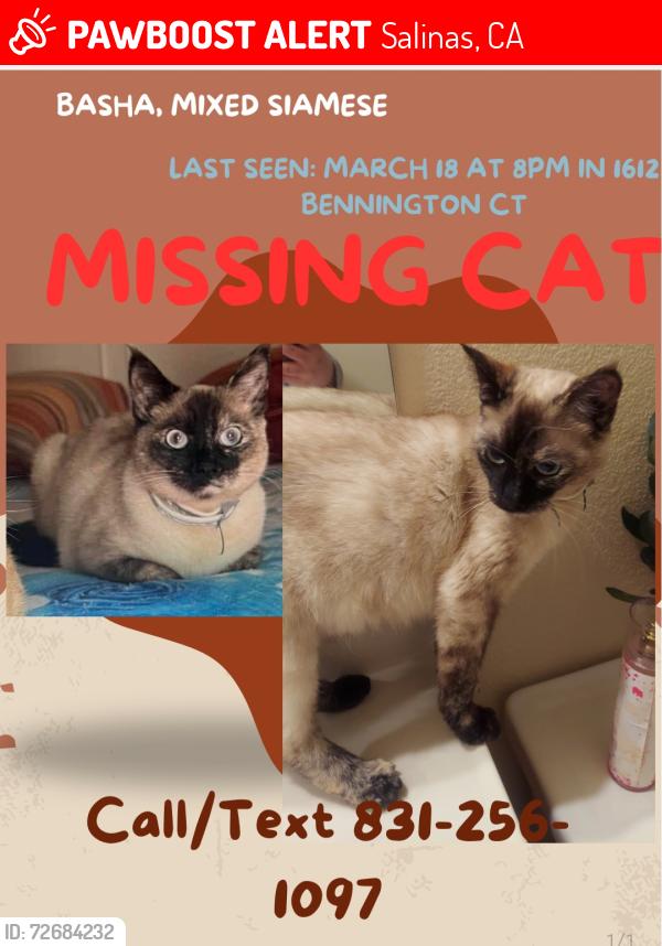 Lost Female Cat last seen Creekbridge, Salinas, CA 93906
