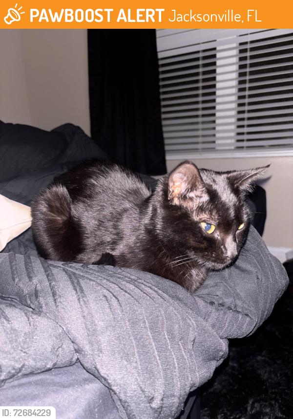 Found/Stray Male Cat last seen Capper Landing apmts , Jacksonville, FL 32218