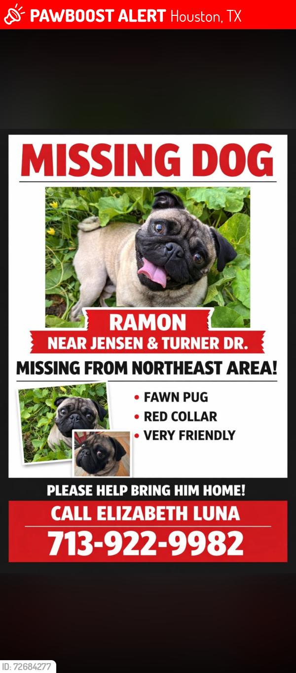 Lost Male Dog last seen Jensen , Houston, TX 77093