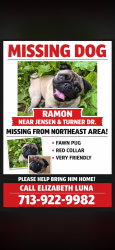 Lost Male Dog last seen Jensen , Houston, TX 77093