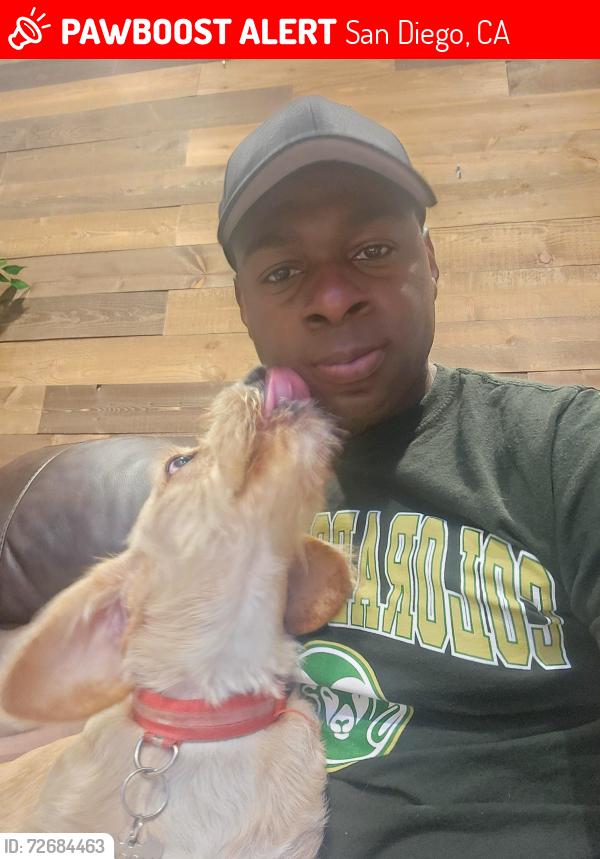 Lost Male Dog last seen Near , San Diego, CA 92154