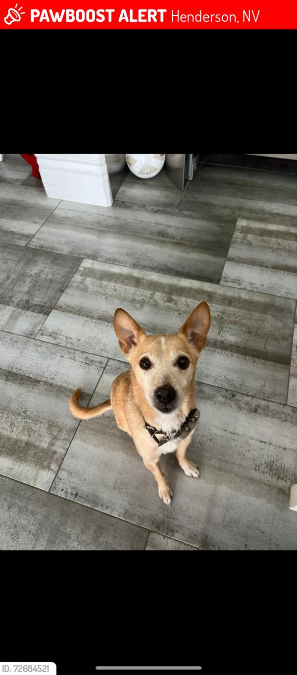 Lost Male Dog last seen Near Seven Hills Dr, Henderson, NV 89052