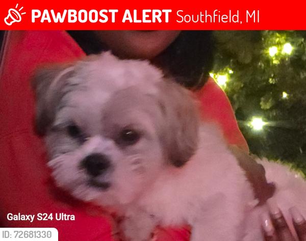 Lost Male Dog last seen Glenmorra / PaulRevere, Southfield, MI 48076