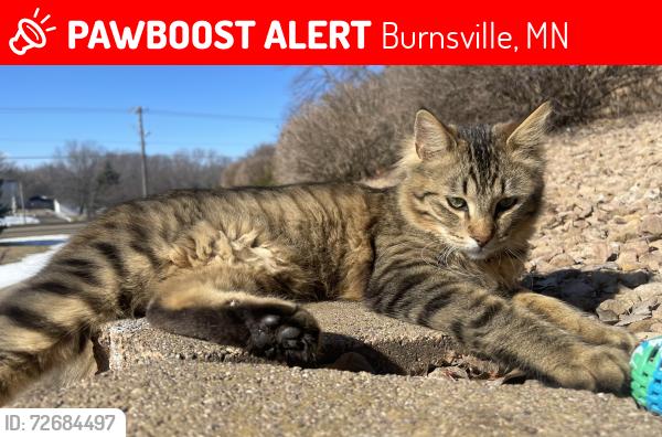 Lost Male Cat last seen Community mail building, Rambush Estates, Burnsville, MN 55306