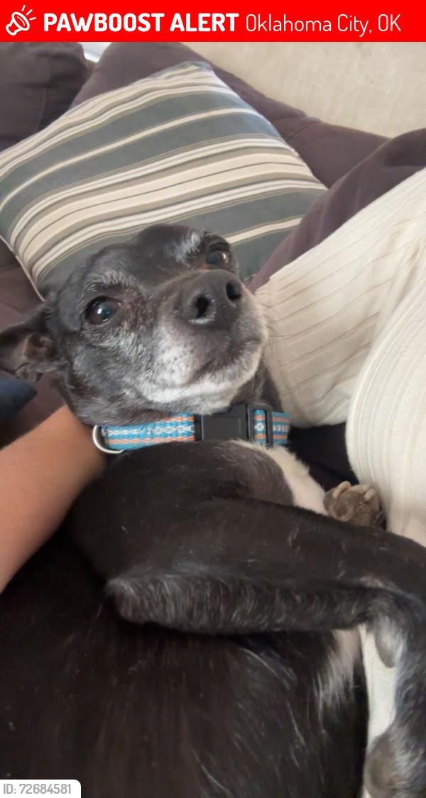 Lost Male Dog last seen Between Hefner and 102nd terr, Oklahoma City, OK 73114