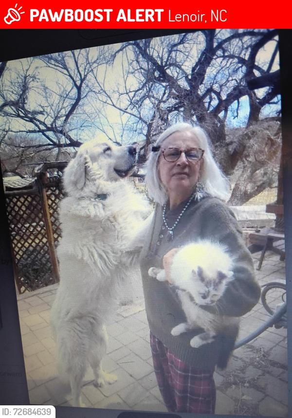 Lost Male Dog last seen Piedmont Drive NW Lenoir, North Carolina     , Lenoir, NC 28645