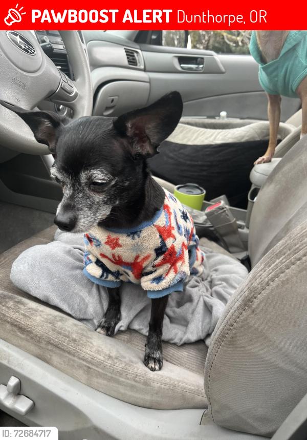 Lost Female Dog last seen Riverwood drive, Dunthorpe, OR 97219
