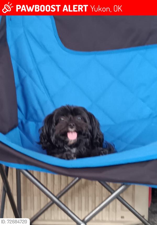 Lost Female Dog last seen Reno, Yukon, OK 73099