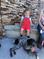 Lost Female Dog last seen Alvin ave , Lehigh Acres, FL 33913