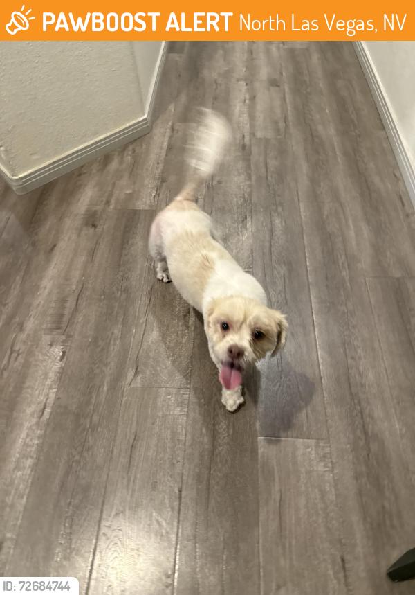 Found/Stray Unknown Dog last seen North commerce and centennial , North Las Vegas, NV 89084