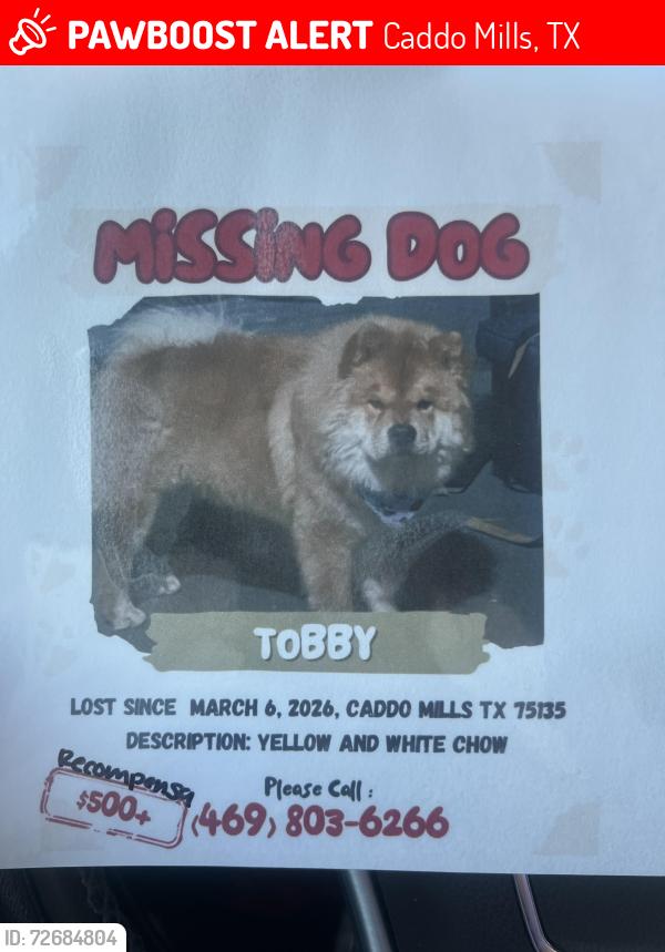 Lost Male Dog last seen Near , Caddo Mills, TX 75135